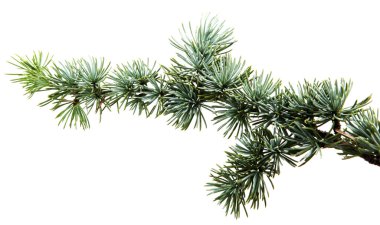 Beyaz arkaplanda izole edilmiş noel süslemesi.