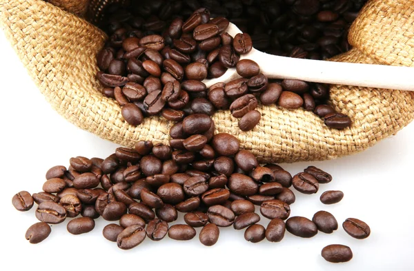 Coffee beans — Stock Photo, Image