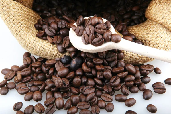 Coffee beans — Stock Photo, Image