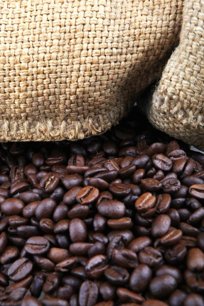 Coffee beans — Stock Photo, Image