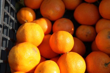 sebze ve meyve sepeti