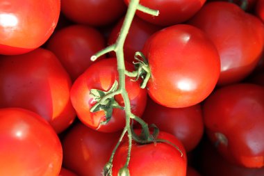 sebze ve meyve sepeti