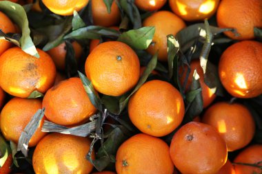 sebze ve meyve sepeti