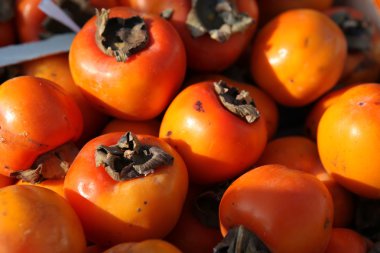 sebze ve meyve sepeti