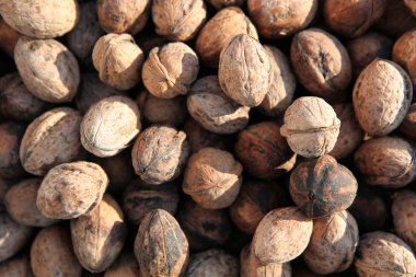 sebze ve meyve sepeti