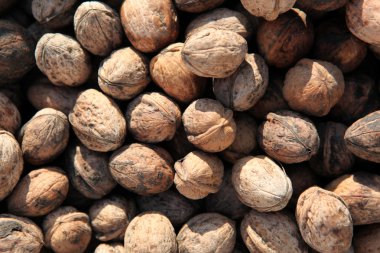 sebze ve meyve sepeti