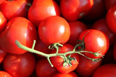 sebze ve meyve sepeti