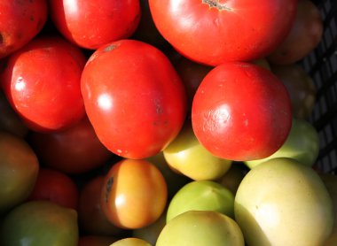 sebze ve meyve sepeti