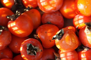 sebze ve meyve sepeti