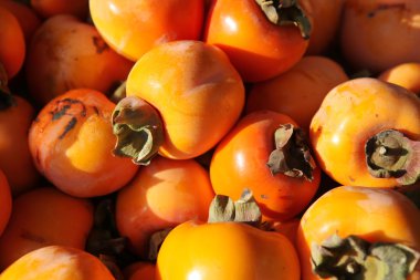 sebze ve meyve sepeti