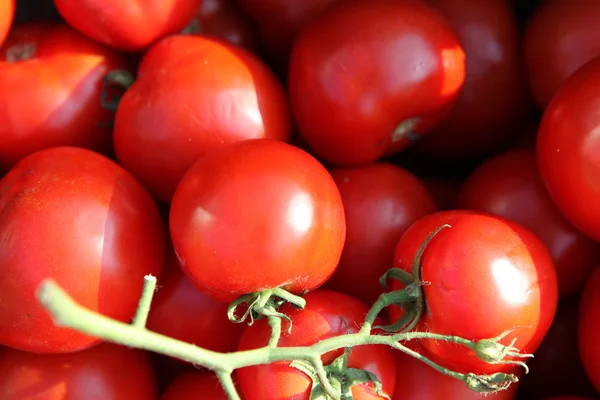 Groenten en fruit regeling — Stockfoto