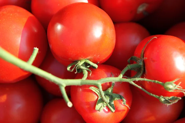 sebze ve meyve sepeti