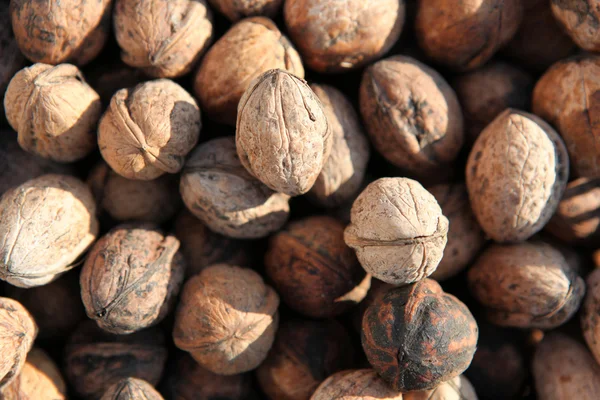 sebze ve meyve sepeti