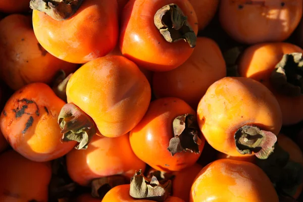 sebze ve meyve sepeti