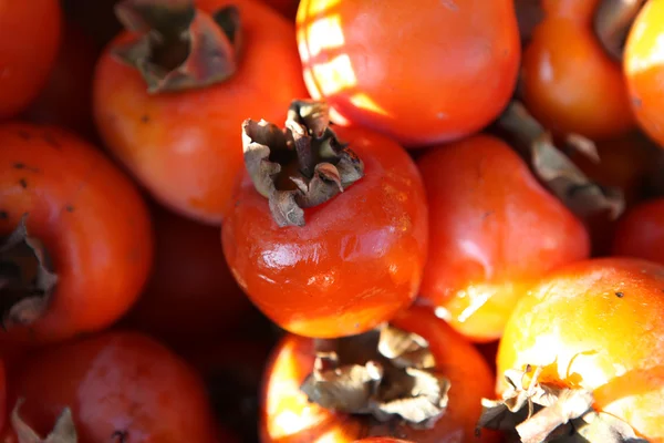 Groenten en fruit regeling — Stockfoto