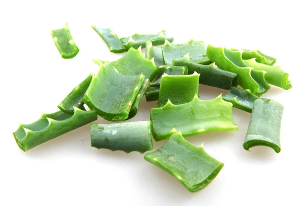 Aloe vera leaves Stock Photo