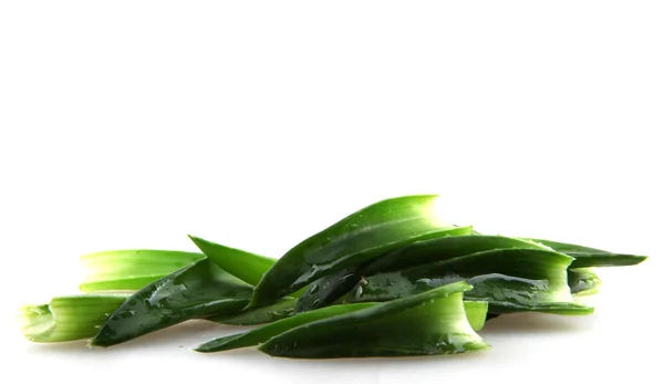 Aloe Vera — Stockfoto