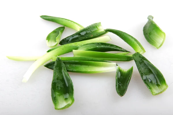 Aloe Vera — Stockfoto