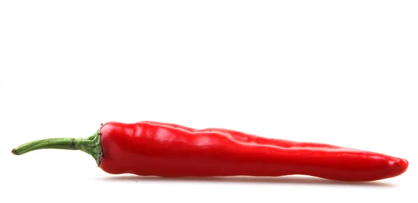 Red pepper — Stock Photo, Image