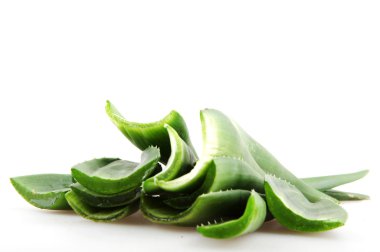 aloe vera bitkisi beyaz üzerine izole