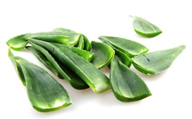aloe vera bitkisi beyaz üzerine izole