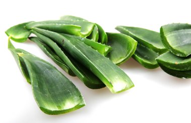 aloe vera bitkisi beyaz üzerine izole