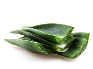 aloe vera bitkisi beyaz üzerine izole