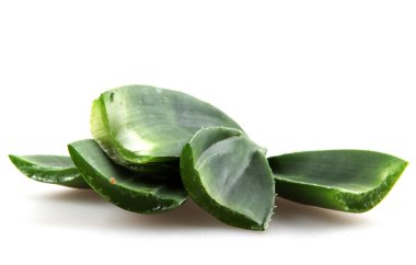 aloe vera bitkisi beyaz üzerine izole