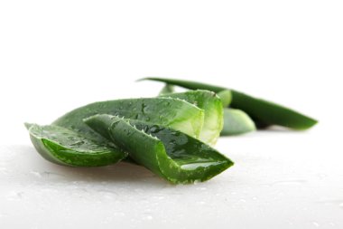 aloe vera bitkisi beyaz üzerine izole