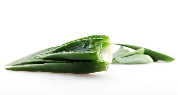 Aloe vera plante isolée sur blanc — Photo