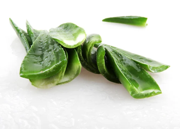 Planta aloe vera isolado em branco — Fotografia de Stock