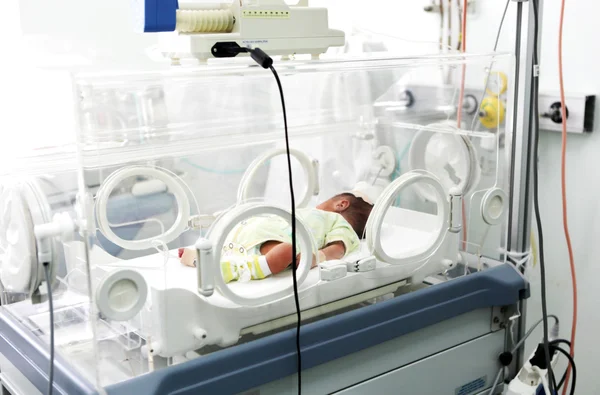 入院中の新生児 — ストック写真