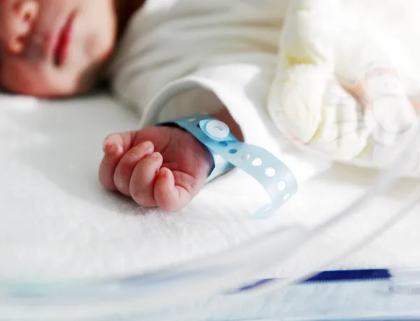 在孵化器中的初生婴儿 免版税图库图片