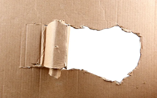Cardboard texture Stock Image