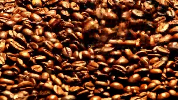 Granos de café — Vídeos de Stock