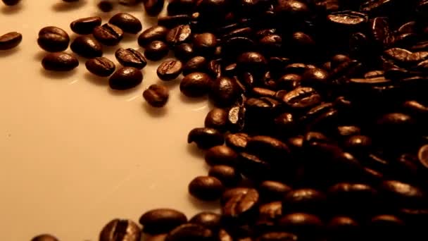 Кава в зернах — стокове відео