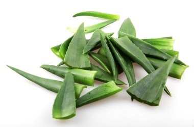aloe vera bitkisi beyaz üzerine izole