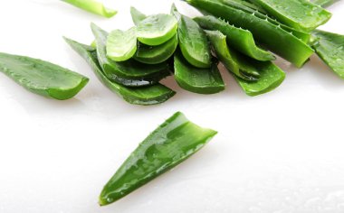 aloe vera bitkisi beyaz üzerine izole