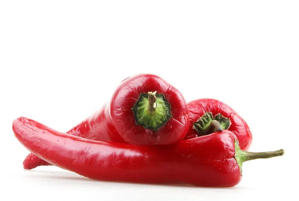 Red hot chili pepper isolated on a white background — Stock Photo, Image