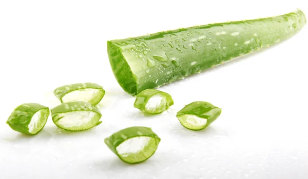 Aloe — Stockfoto