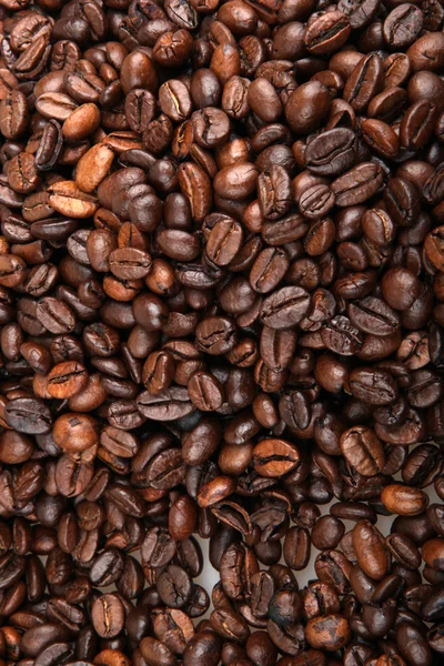 Coffee beans — Stock Photo, Image