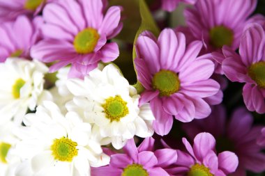 Güzel Çiçeklerin Resmi