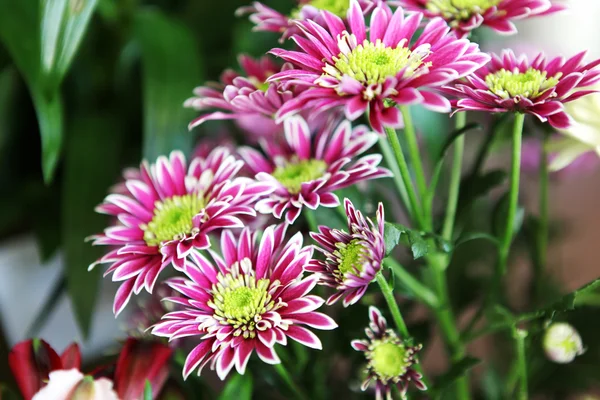 Foto van mooie bloemen — Stockfoto