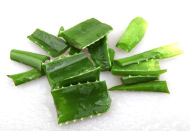 aloe vera
