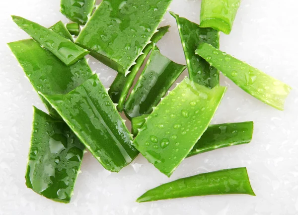 Aloe vera — Foto Stock