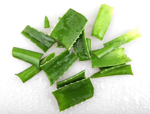 Aloe vera — Foto Stock