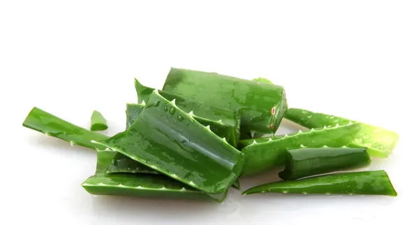 Aloe vera Stock Picture