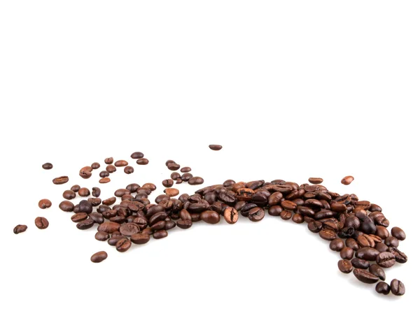 Biji kopi coklat diisolasi pada latar belakang putih — Stok Foto