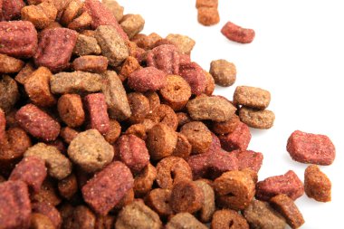 evde beslenen hayvan yiyecek