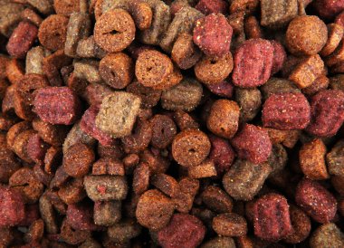 evde beslenen hayvan yiyecek